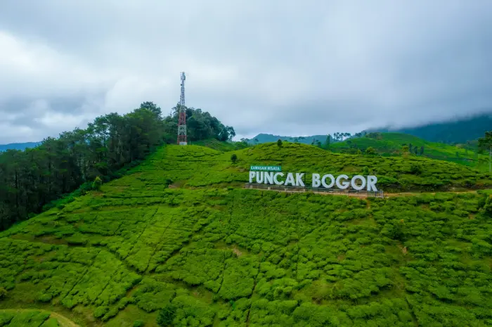 Destinasi Wisata Puncak Bogor yang Menyuguhkan Keindahan Alam